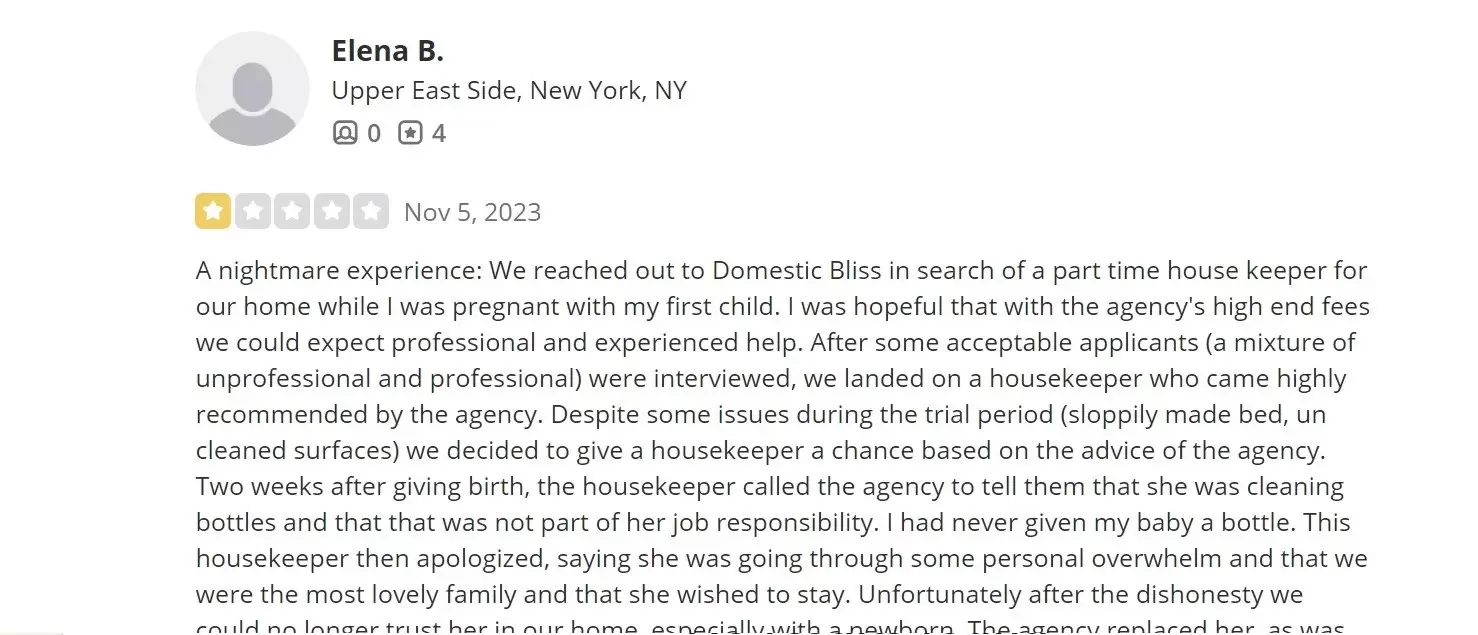critical review of Domestic Bliss Agency