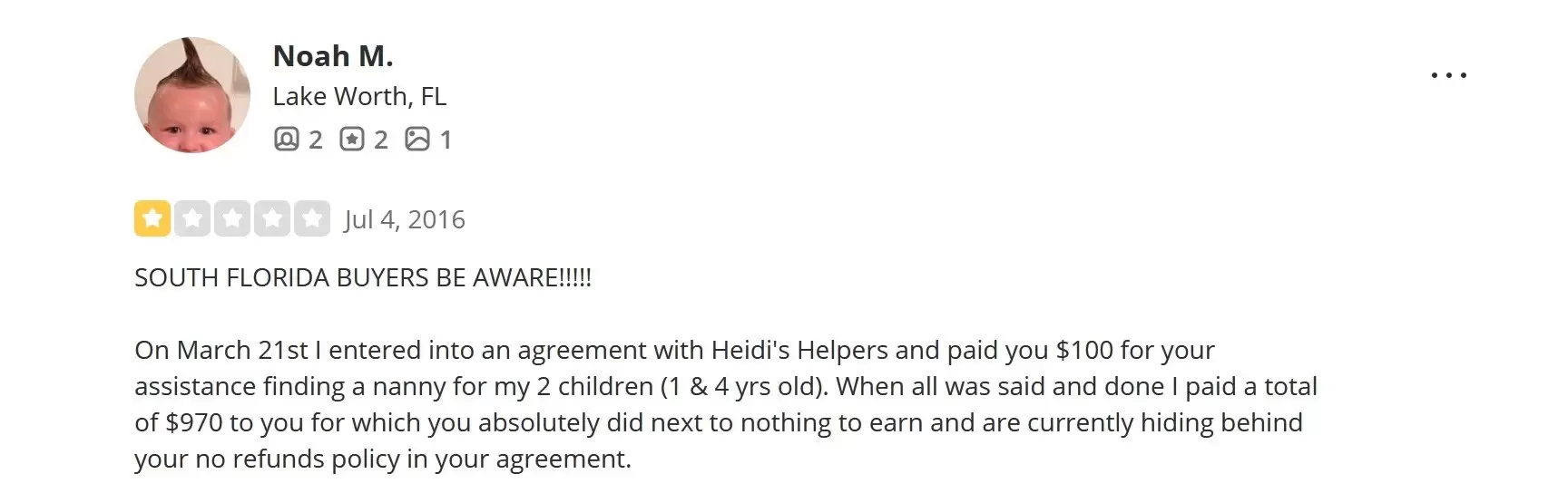 critical review of Heidi's Helpers Inc