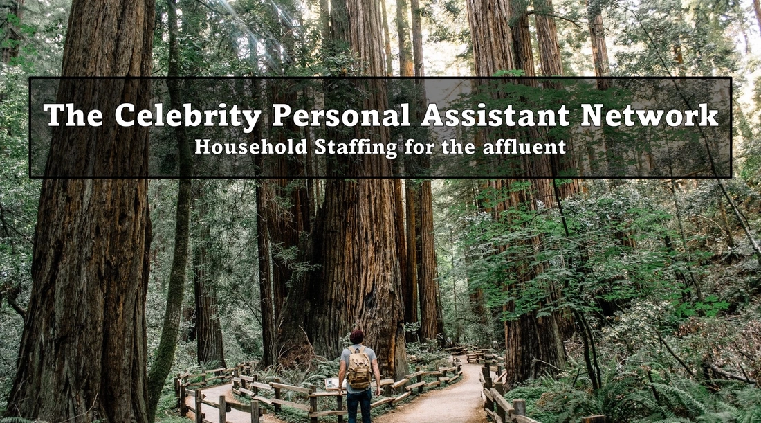Mill Valley domestic staffing agency