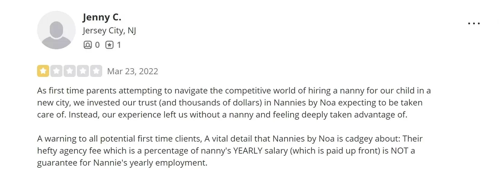 critical review of Nannies by Noa