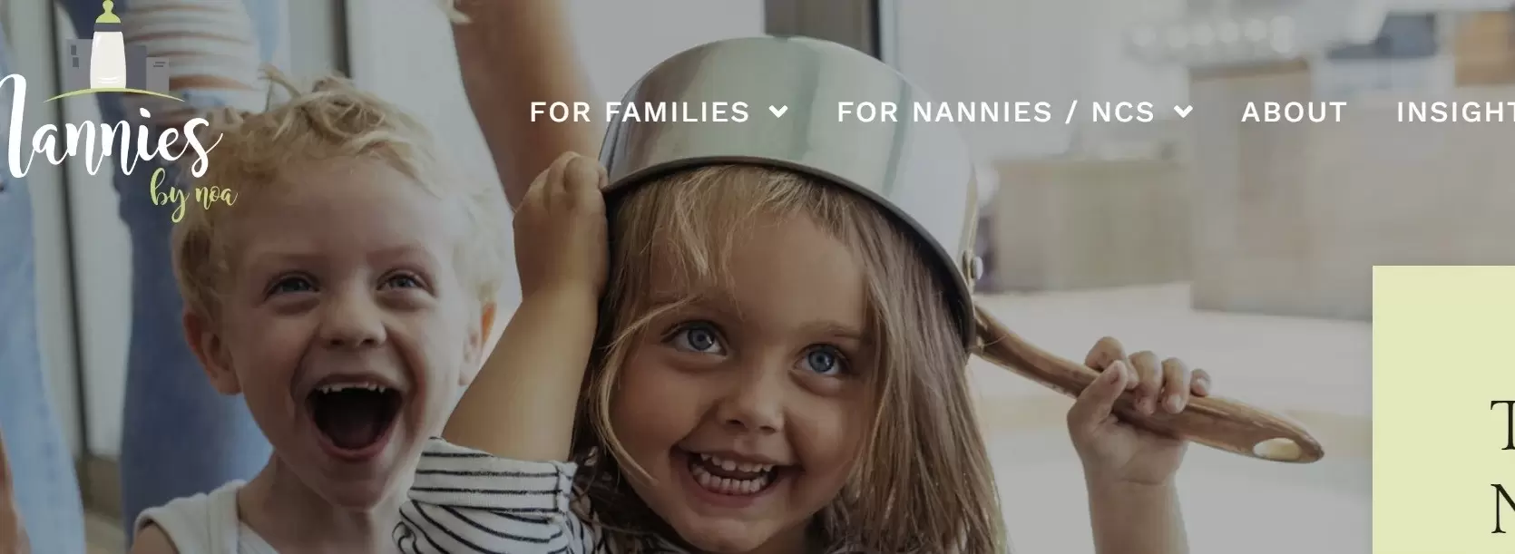 Nannies by Noa company profile and reviews