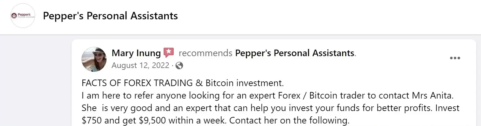 positive review of Pepper's Personal Assistants