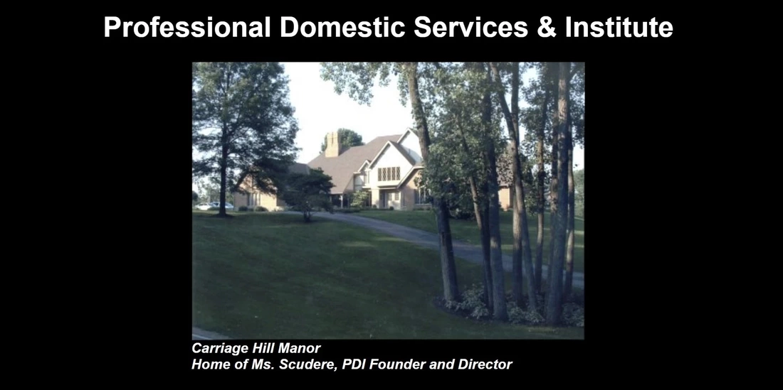Professional Domestic Services & Institute company profile 