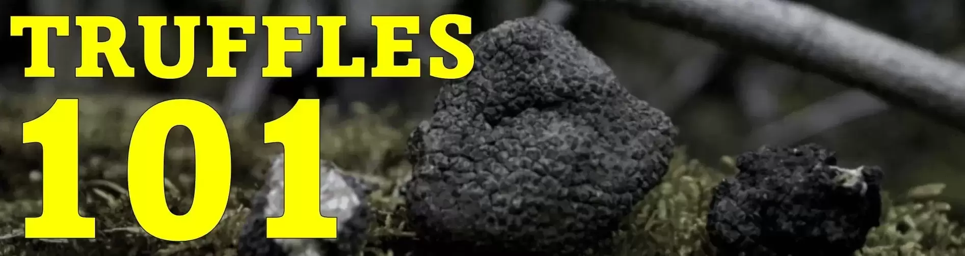 the complete guide to truffles