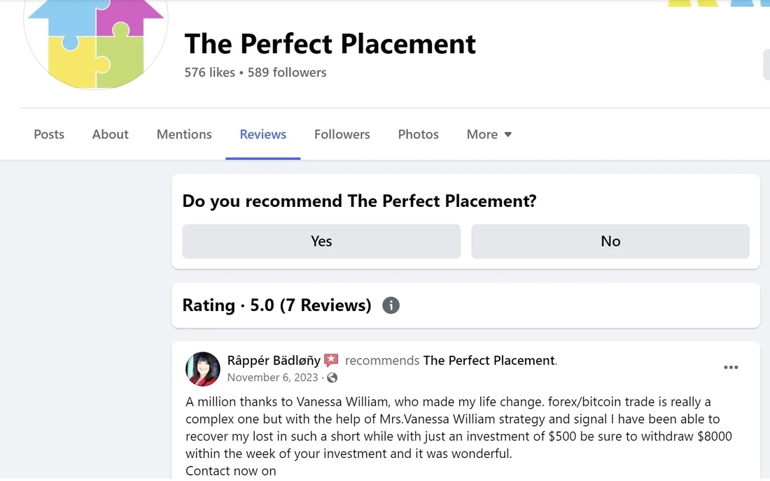 positive review of The Perfect Placement