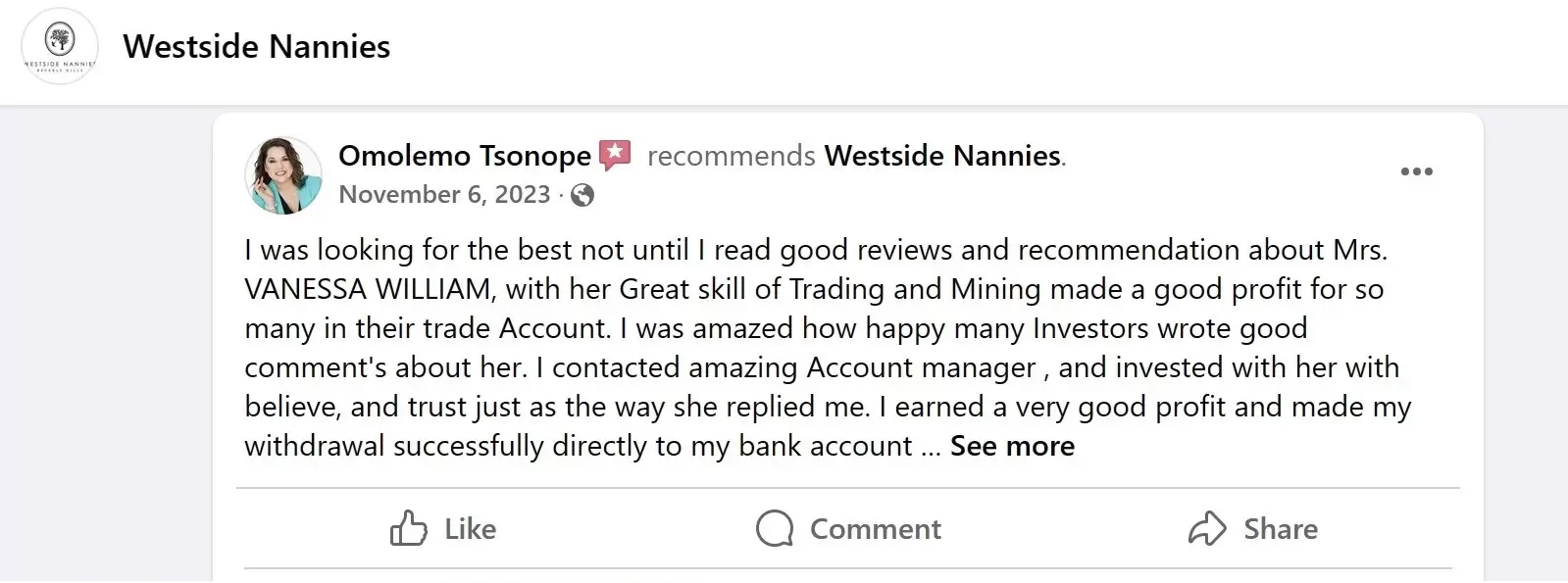 critical review of Westside Nannies